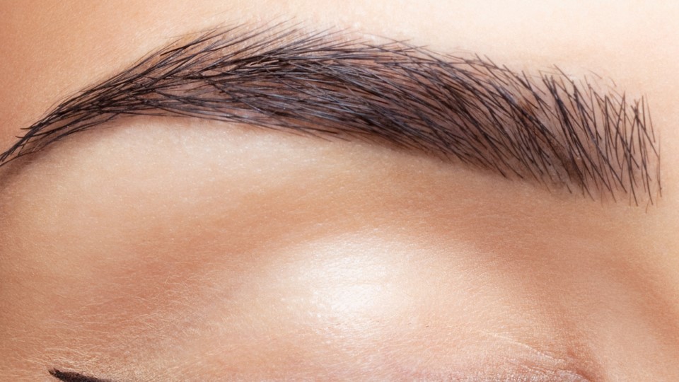 Brow -Sculpt