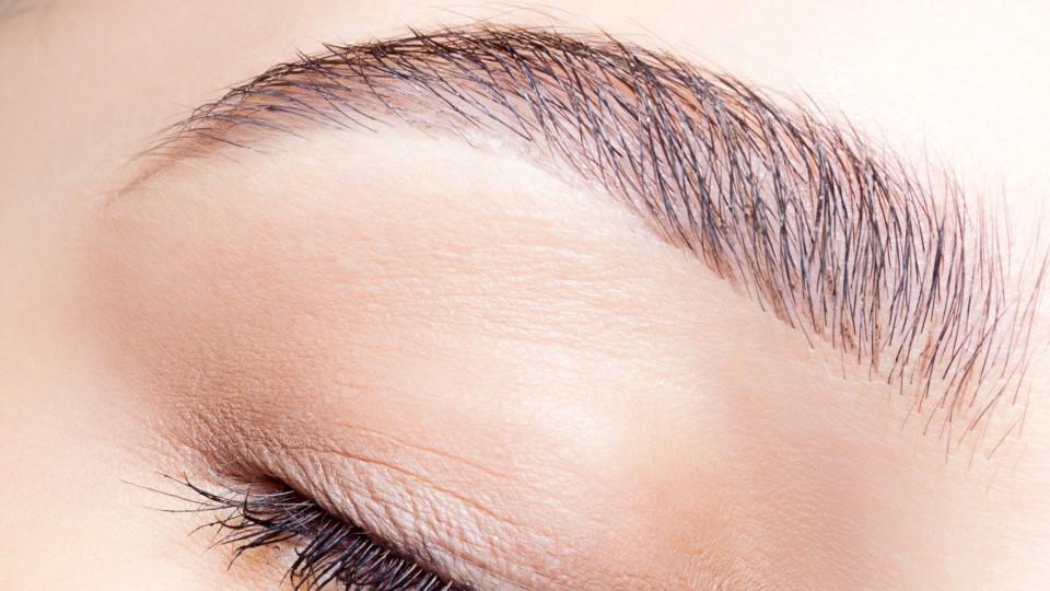 Brows 1 (1)