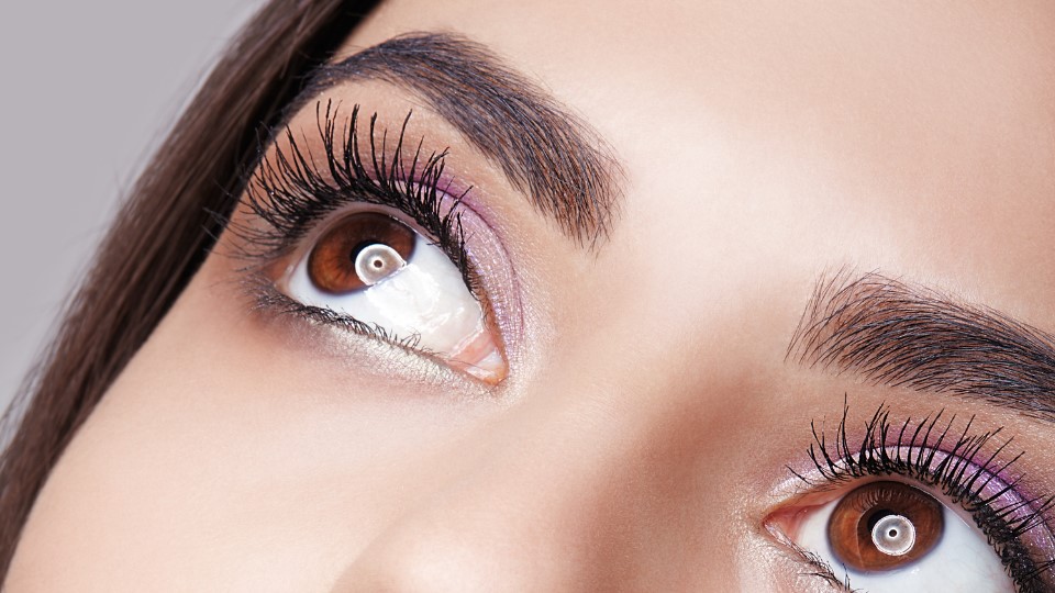 Brows 1 (2)